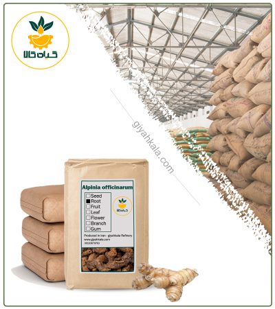 Bulk Dried Galangal Root