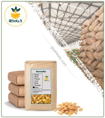 Bulk Dried Frankincense Gum