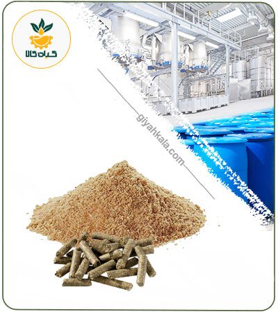 Grape Seed Meal Powder Extract