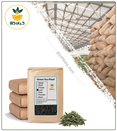 Bulk Laser Dried Gunpowder Green Tea
