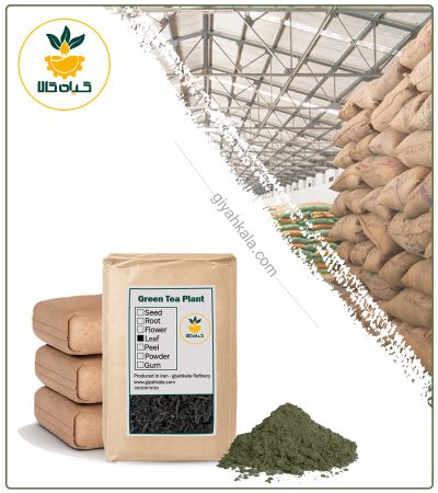 Bulk Gunpowder Iranian Green Tea Powder
