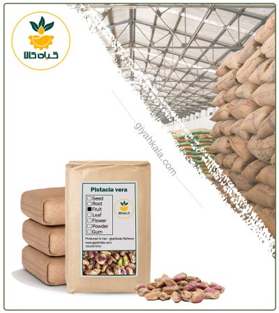 Bulk Raw Ahmadaghayee (Long) Pistachio Kernels