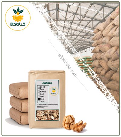 Bulk Dried Walnut Kernel