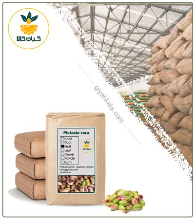 Bulk Dried Pistachio Kernel