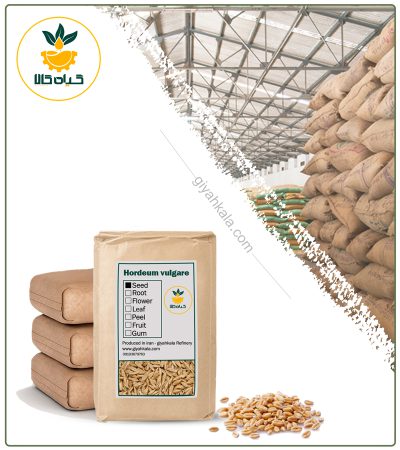 Bulk Dried Barley Malt Seeds