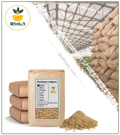 Bulk Barley Malt Powder