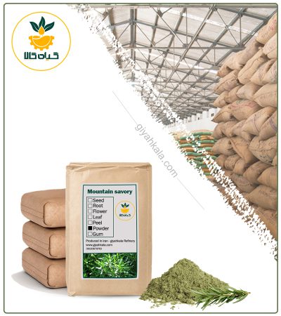 Bulk Savory Powder
