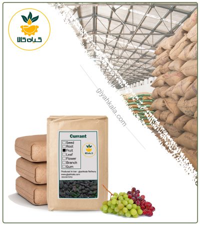 Bulk Dried Currant