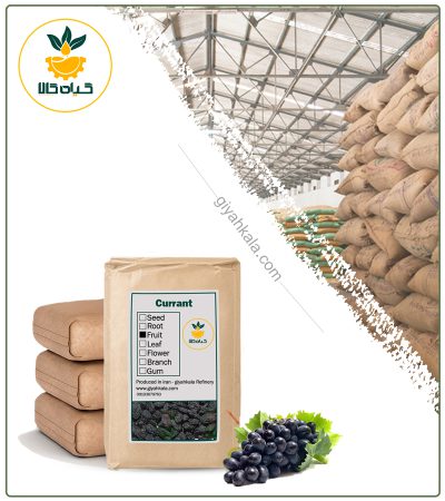 Bulk Dried Black Currant (Seedless)