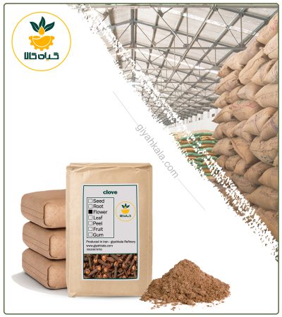 Bulk Clove Powder