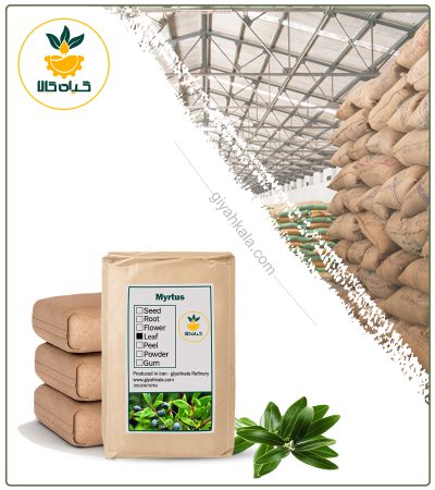 Bulk Dried Myrtle Fruit