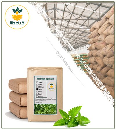 Bulk Dried Spearmint