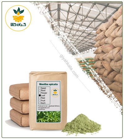 Bulk Spearmint Powder