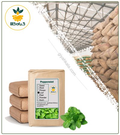 Bulk Dried Peppermint Plant