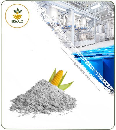 Corn Starch Powder Extract