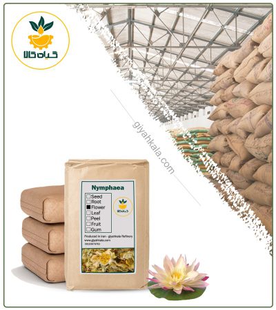 Bulk Dried Lotus (Nelumbo Nucifera)