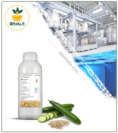 Cucumber Seed Liquid Extract