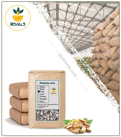 Bulk Raw Ahmadaghayee (Long) Pistachio