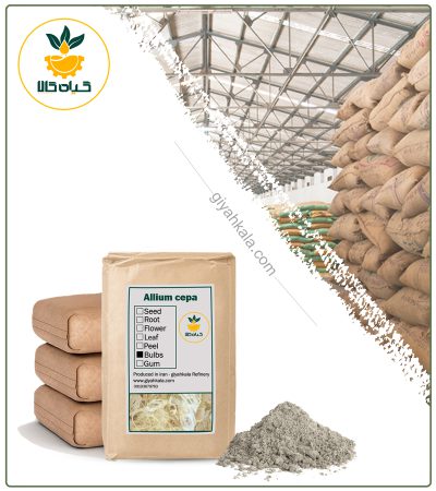 Bulk Onion Powder