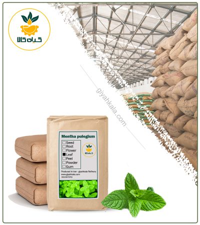 BulK Dried Pennyroyal (Mentha Pulegium)