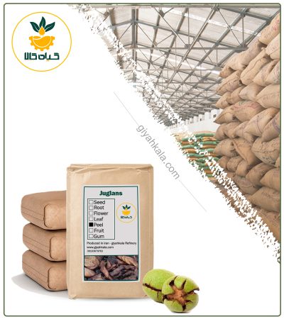 Bulk Dried Green Walnut Shell