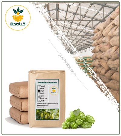 Bulk Dried Hops (Humulus Inpulus)