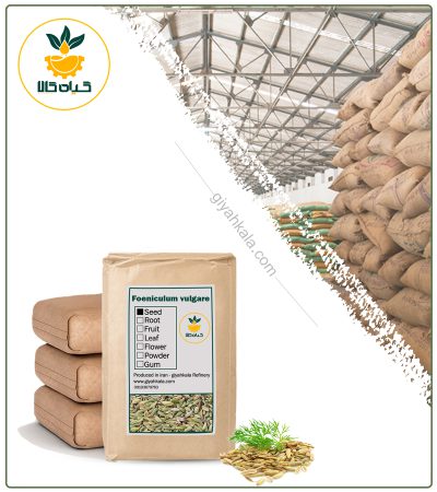 Bulk Dried Fennel Seed