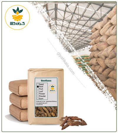 Bulk Dried Gentian (Gentiana Lutea) Root