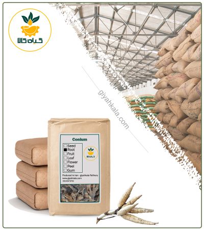 Bulk Dried Hemlock Root