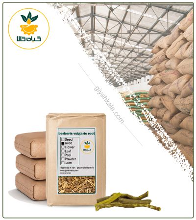 Bulk Dried Barberry Root