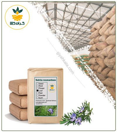 Bulk Dried Rosemary Plant