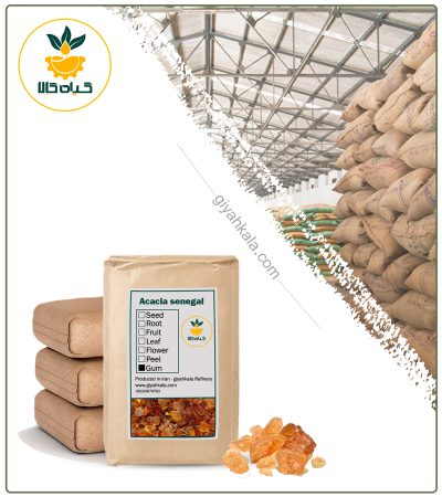 Bulk Dried Gum Arabic