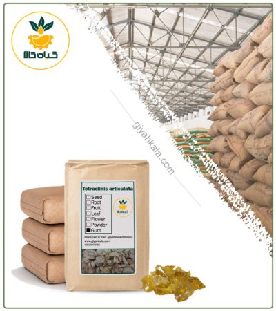 Bulk Dried Sandarac Gum
