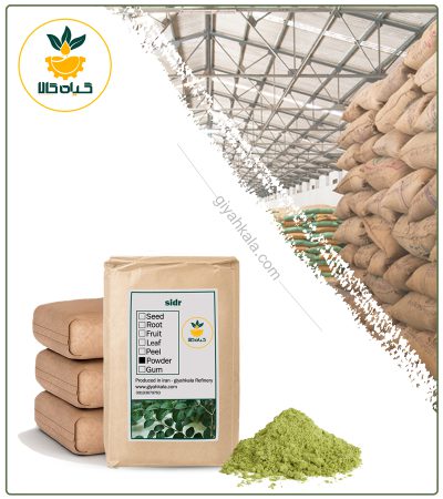 Bulk Sidr Powder
