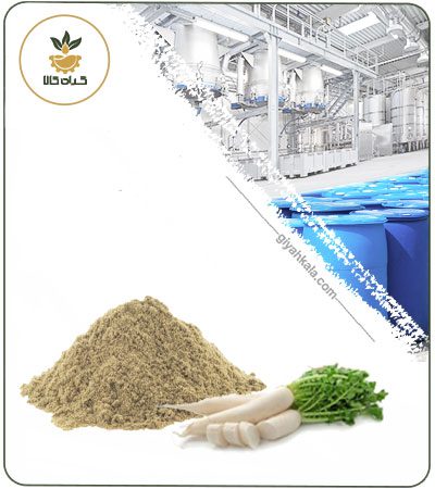 Wild Parsnip (Pastinaca Sativa) Powder Extract