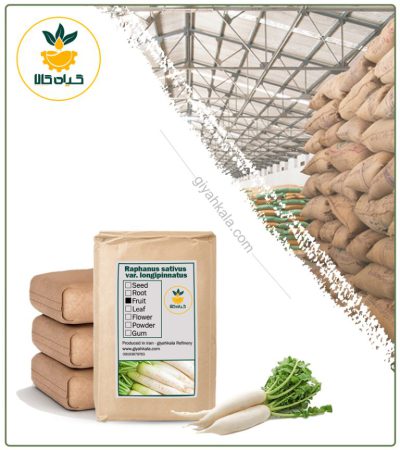 Bulk Dried Wild Parsnip (Pastinaca Sativa)