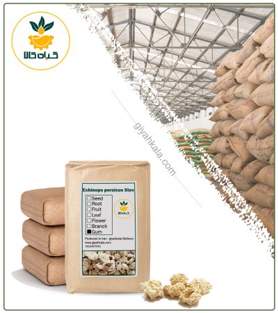 Bulk Dried Globe Thistle (Echinops) Gum