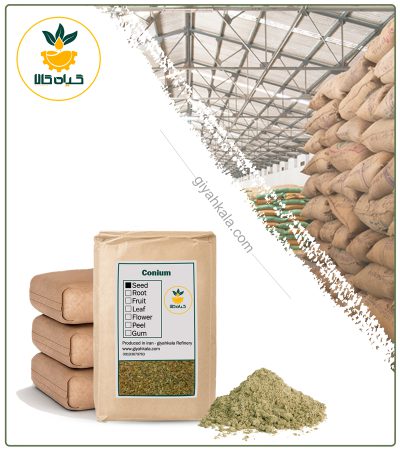 Bulk Hemlock Seed Powder