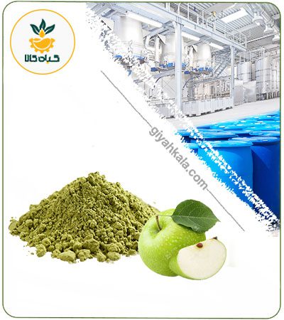 Green Apple Powder Extract