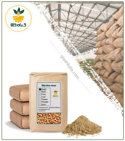 Bulk Soy Seed Powder