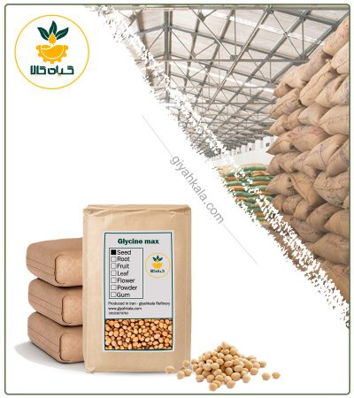 Bulk Dried Soy Seed