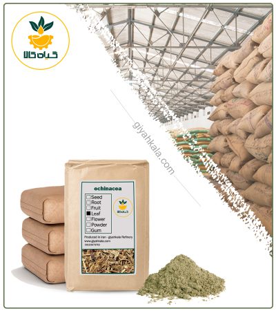 Bulk Echinacea Root Powder