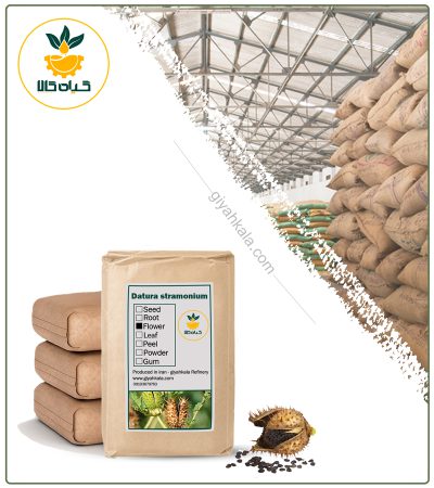 Bulk Dried Jimsonweed (Datura Stramonium)