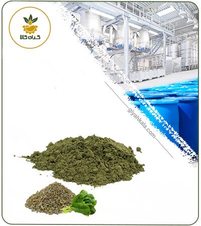 Spinach Seed Powder Extract