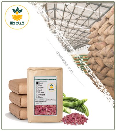 Bulk Dried Armenian Cucumber Seed