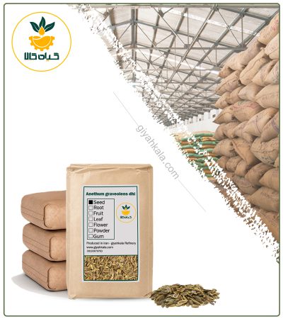 Bulk Dried Dill Seed