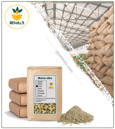 BulK Morus Alba Powder