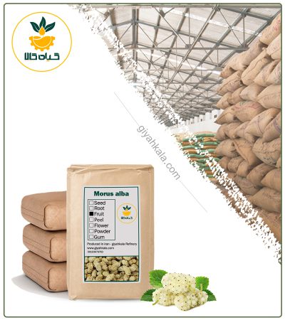 BulK Dried Morus Alba