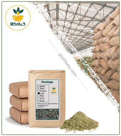 Bulk Ferulago Angulata (Chavir) Leaf Powder