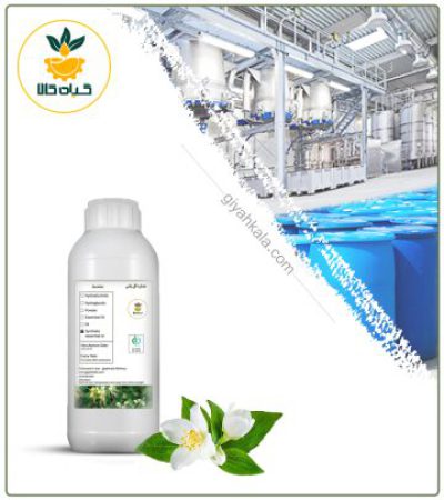 Jasmine (Jasminum) Liquid Extract